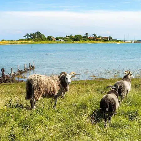 20328-samso-besservej-35 Apartment Tranebjerg